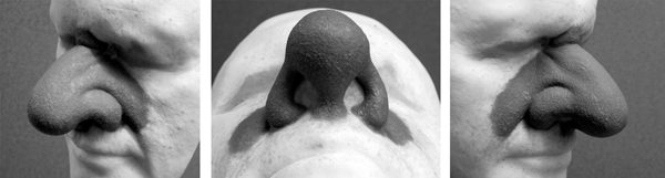 Nose Sculpt